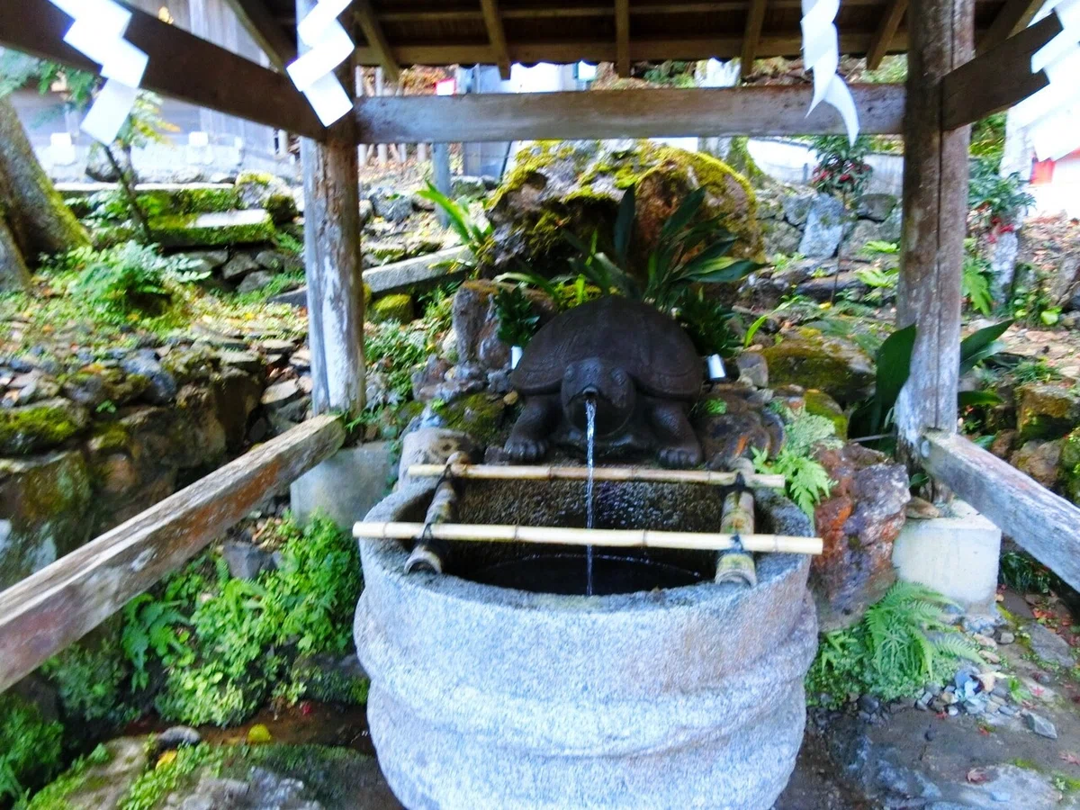 画像49