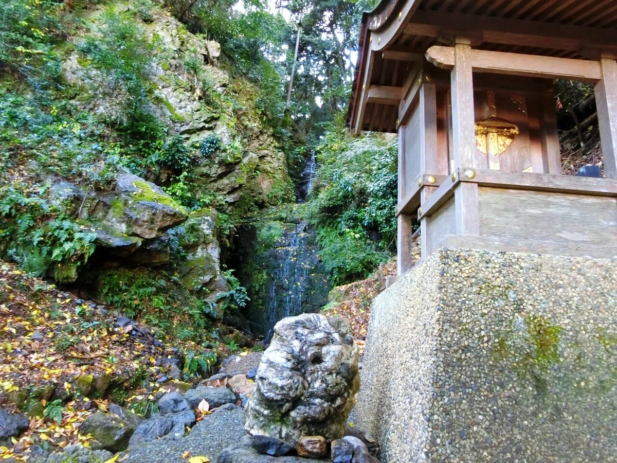 画像51