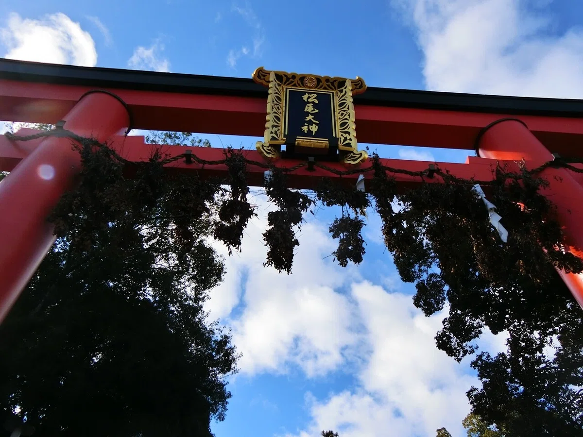 画像52