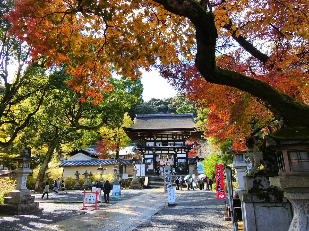 画像54