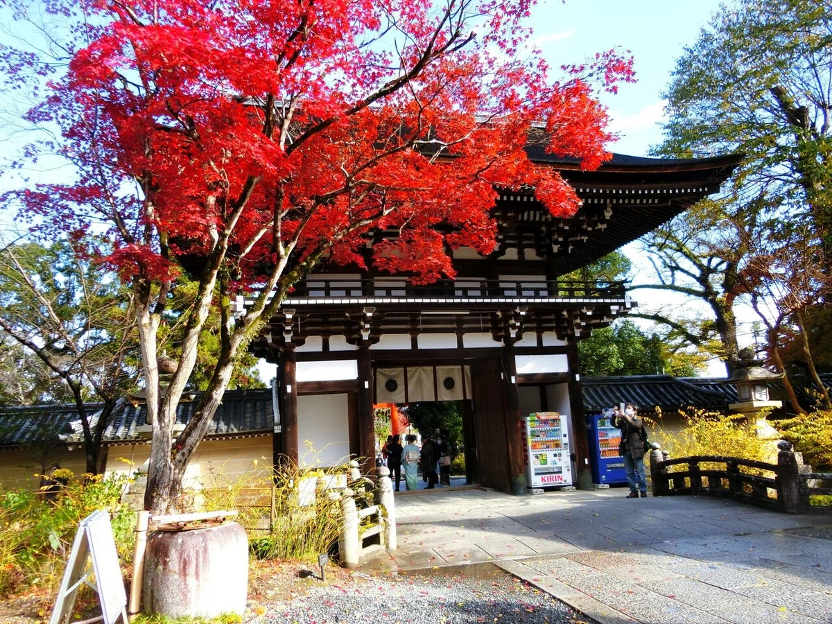 画像54