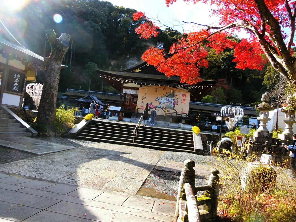 画像55