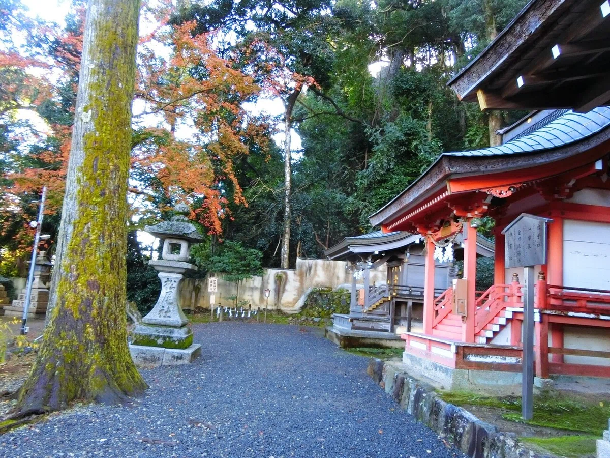 画像59
