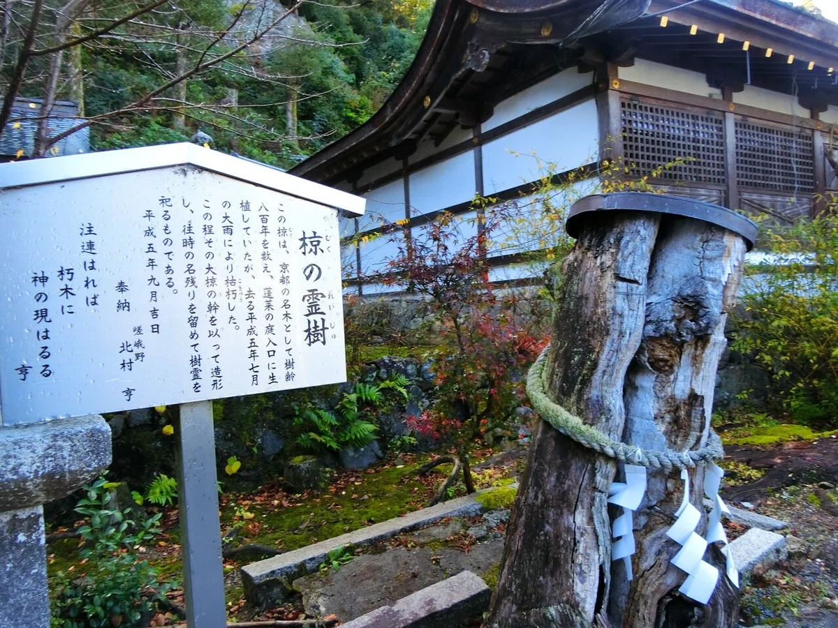 画像60