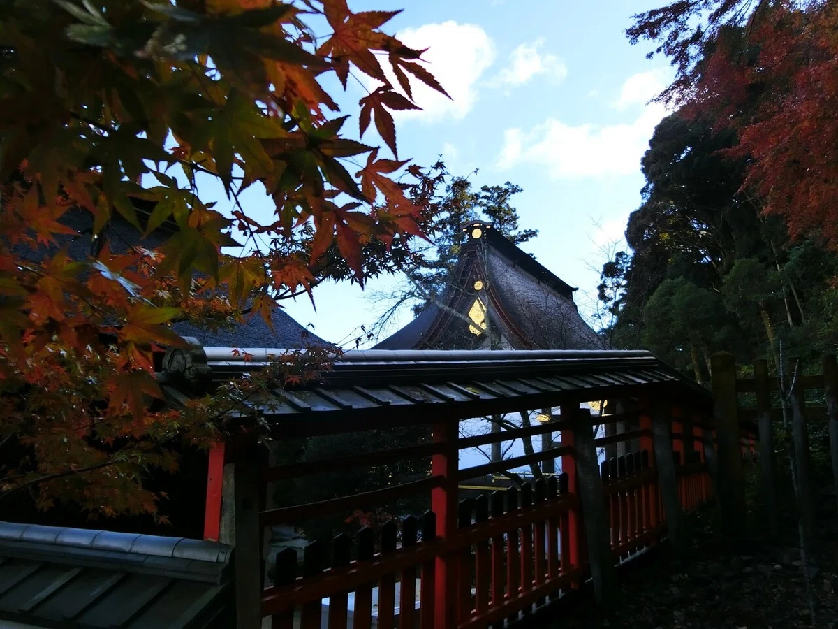 画像63