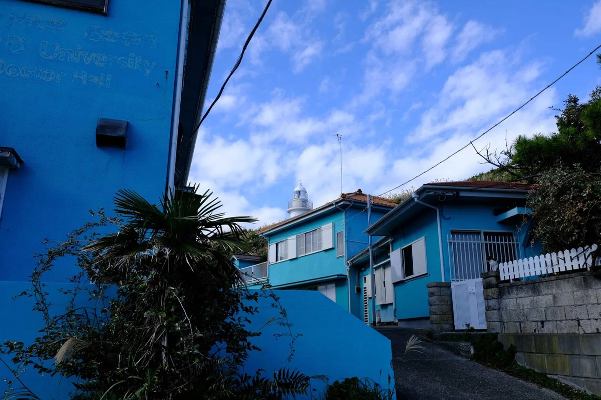 画像7