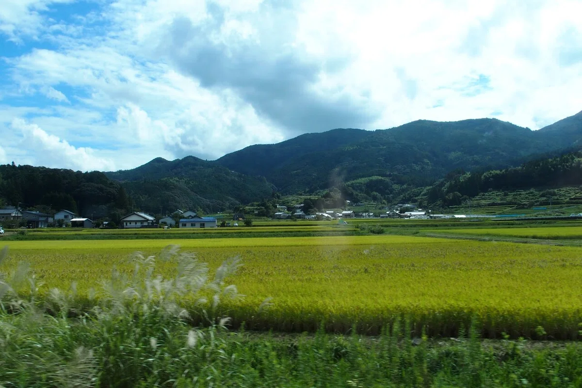 画像33