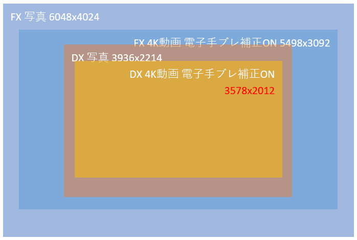 Nikon Z6/Z6IIの4K30p動画のDXフォーマットと電子手ブレ補正｜ちーちゃーん