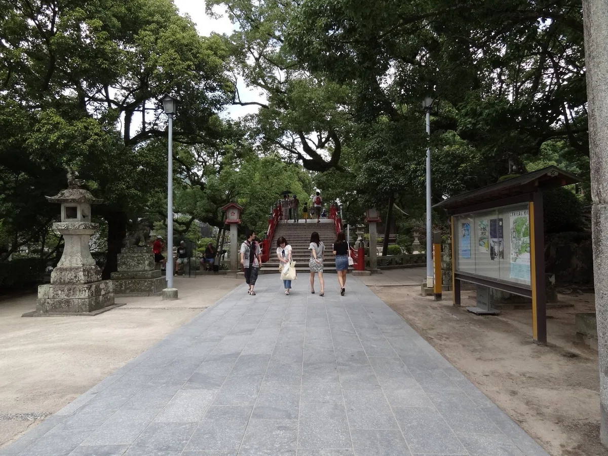 画像7