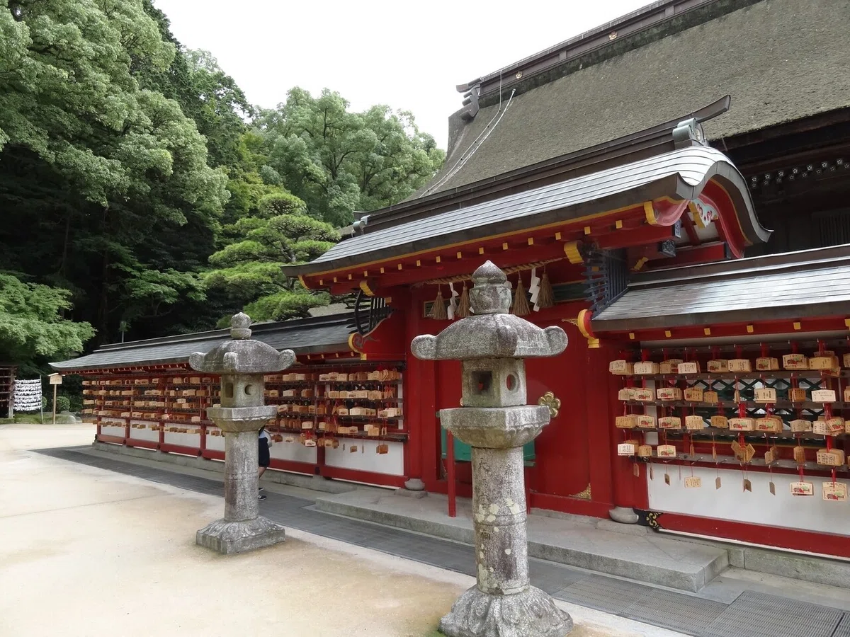 画像8