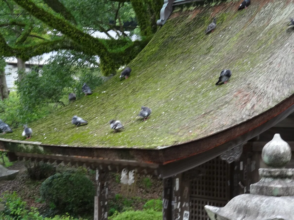 画像10