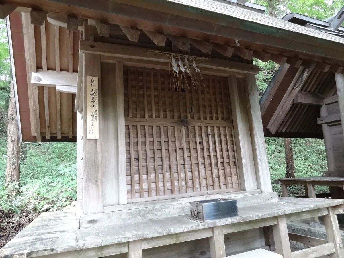 画像24