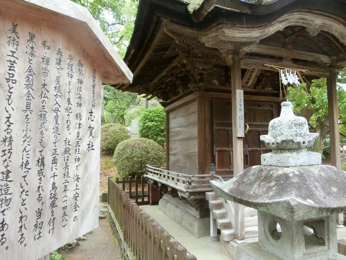 画像29