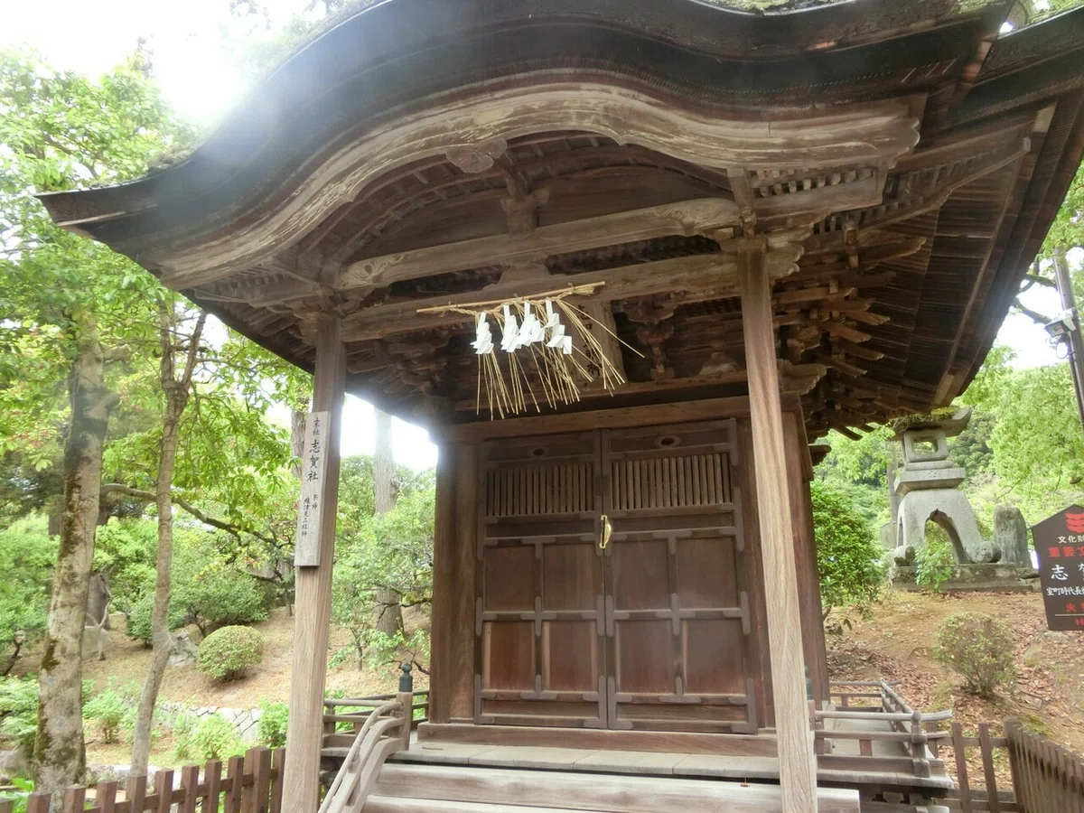 画像30