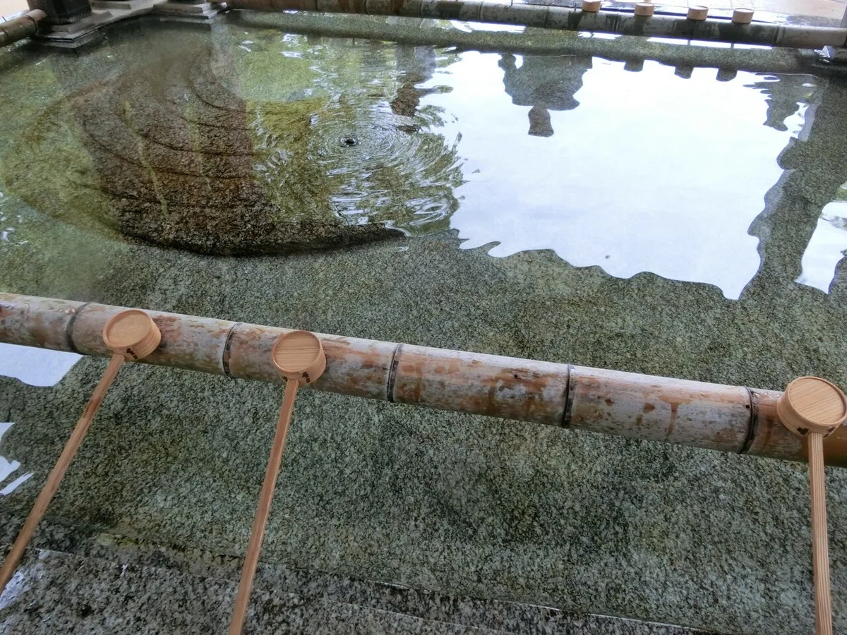 画像31