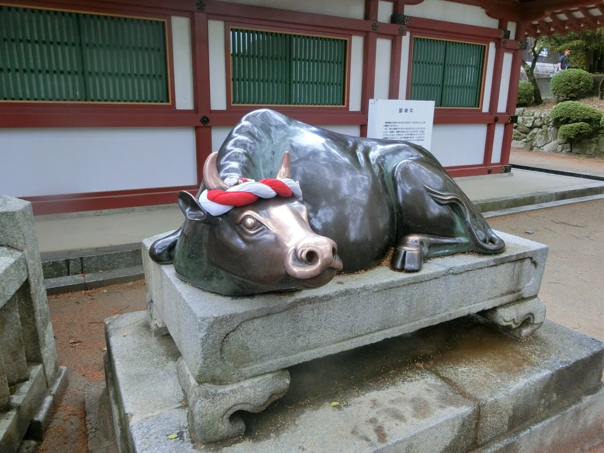 画像32