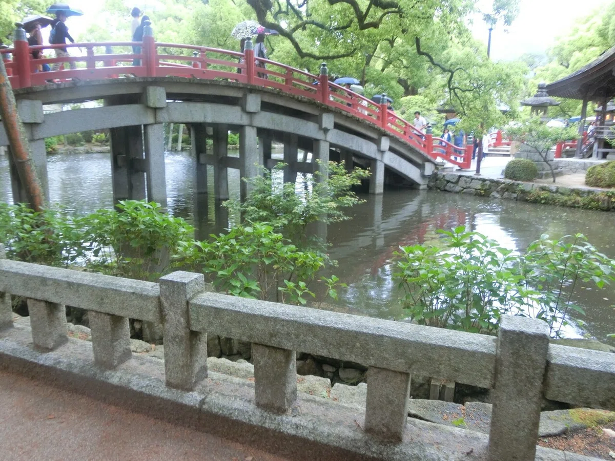 画像33