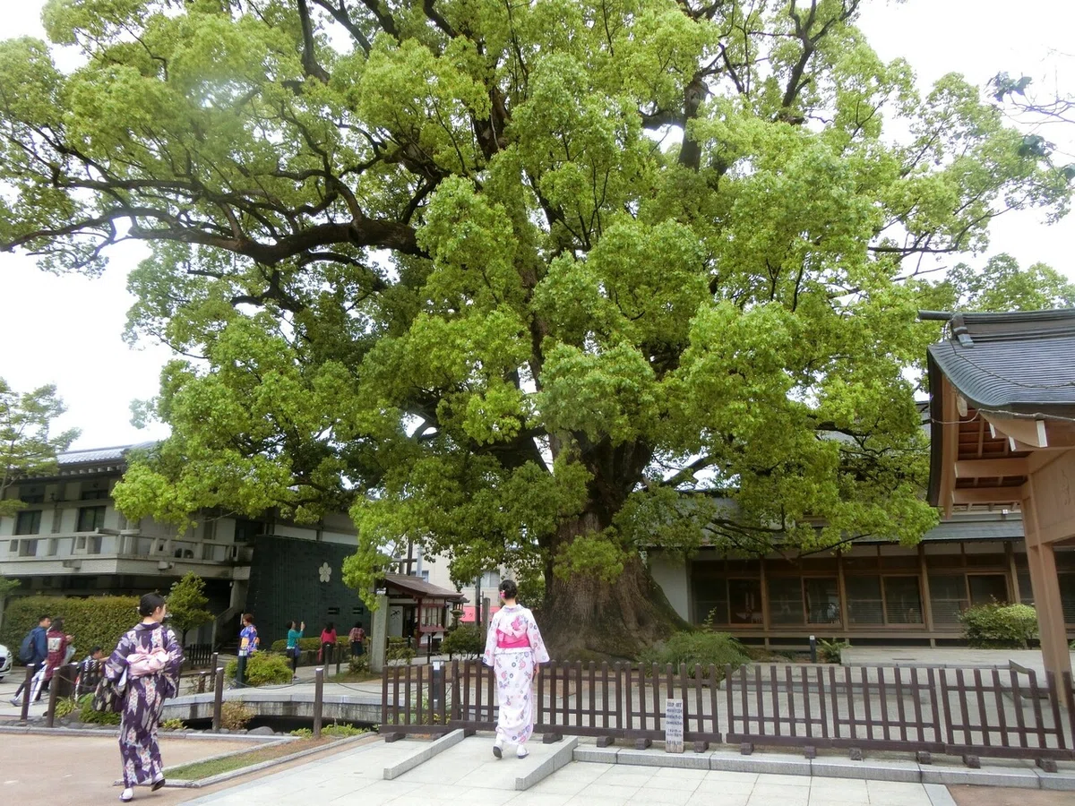 画像38