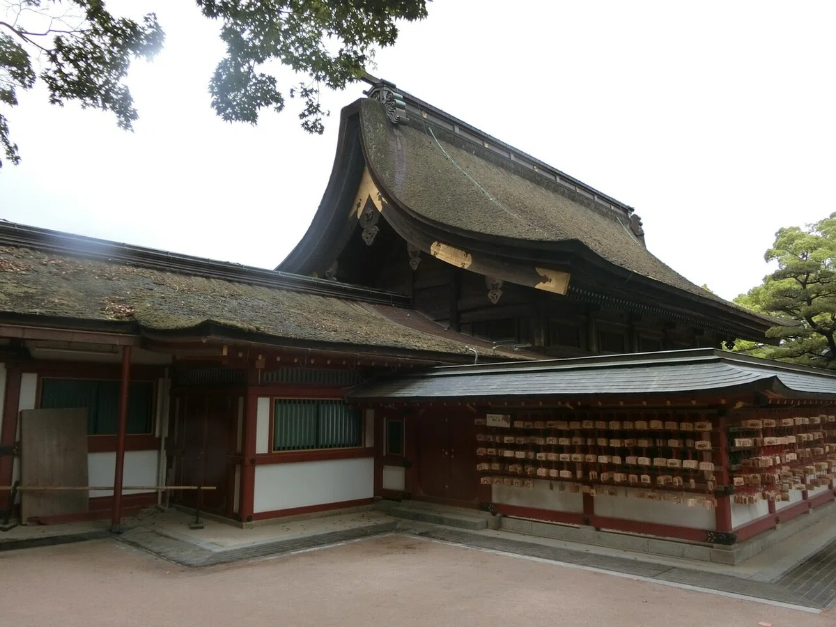 画像48