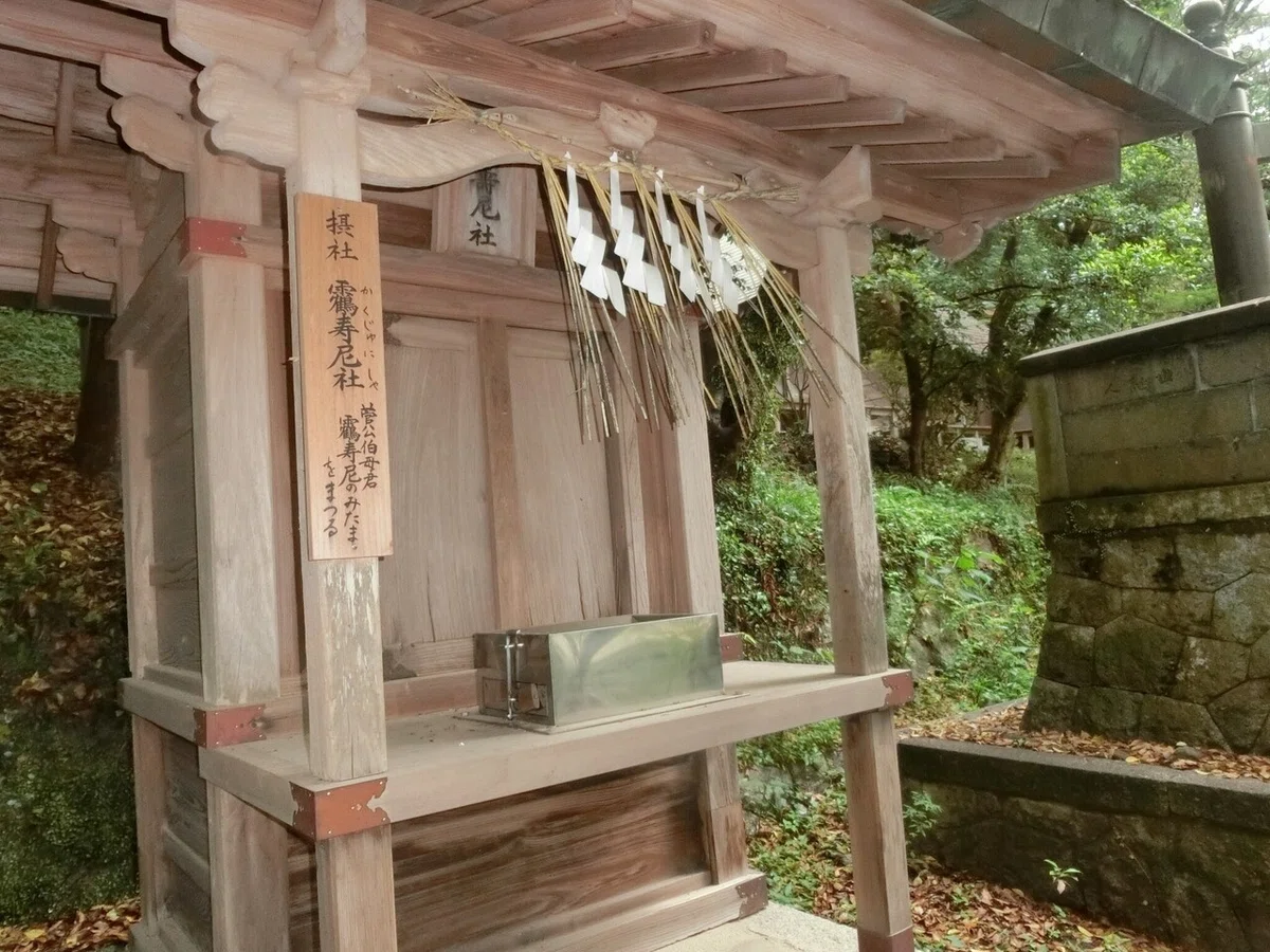 画像49