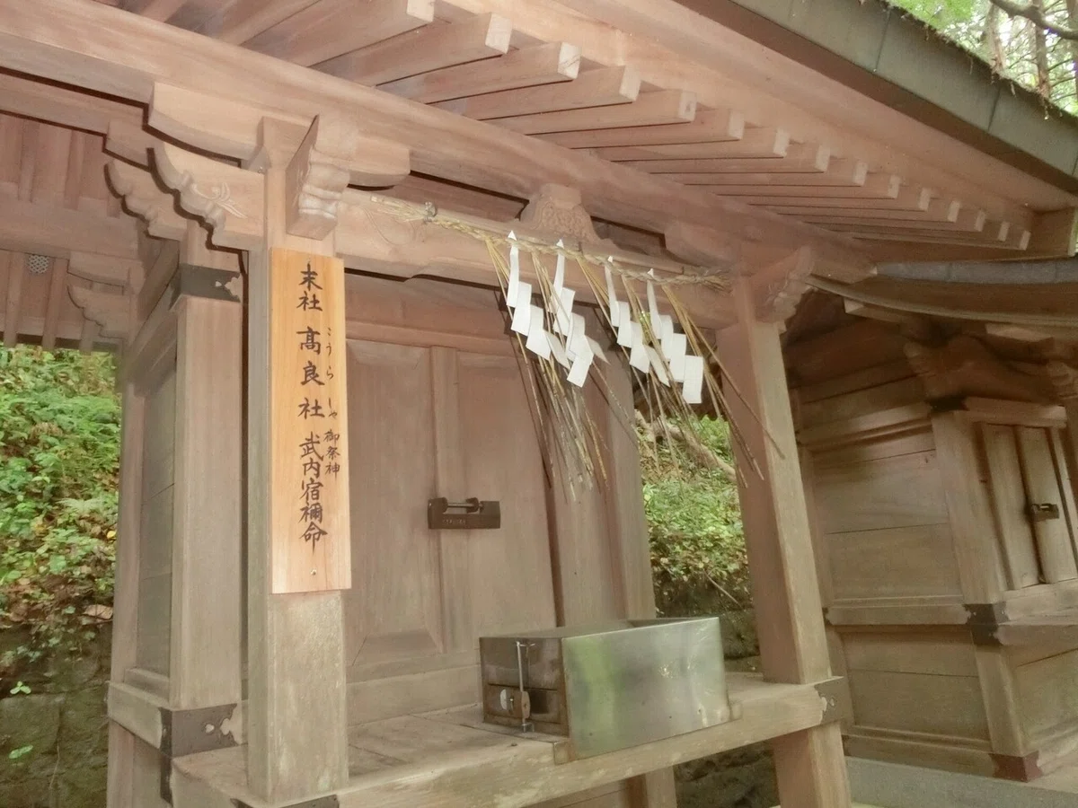 画像49