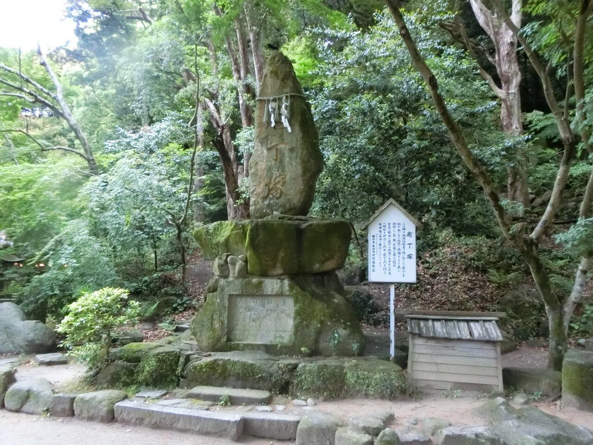 画像61