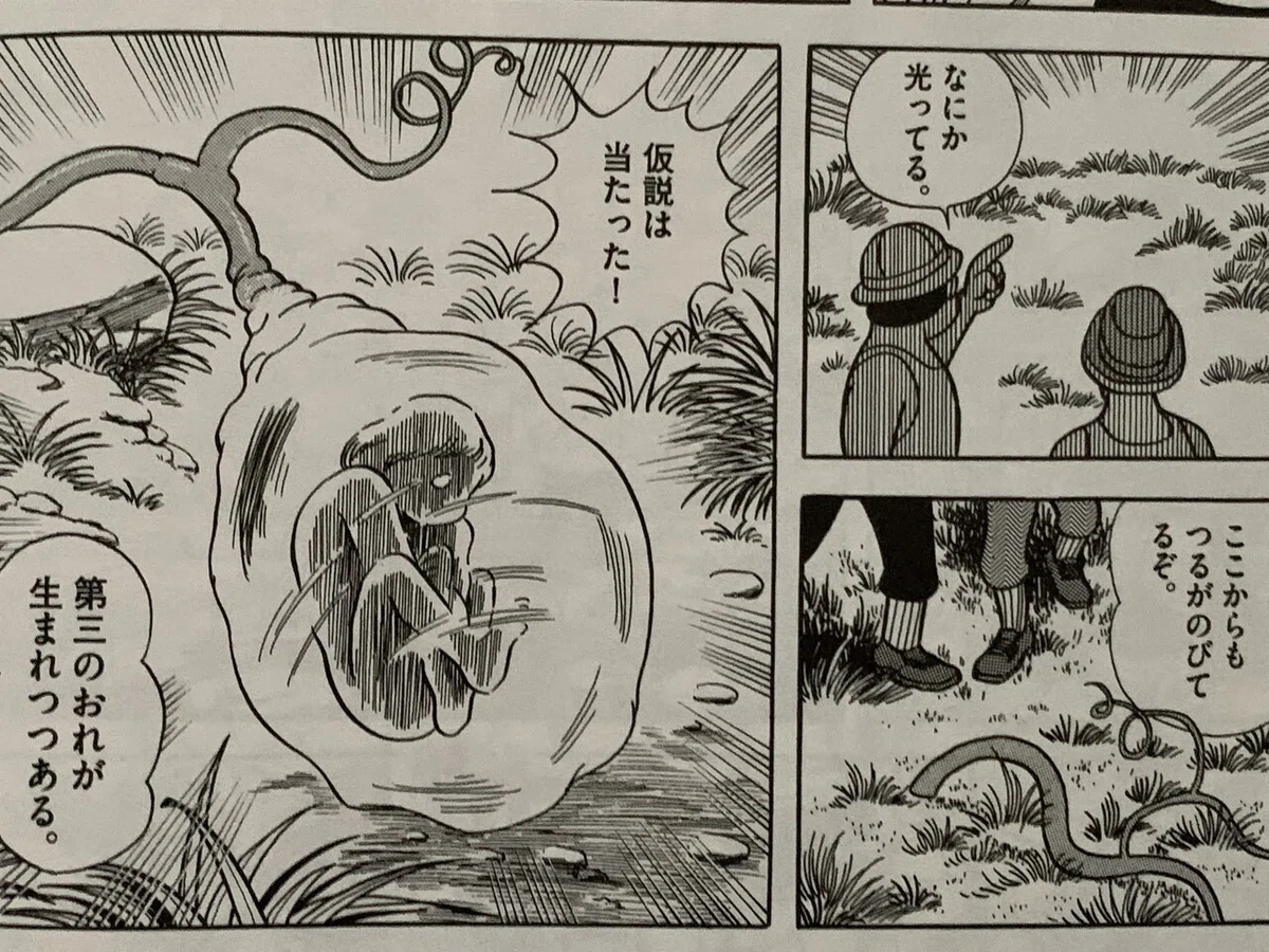 画像5