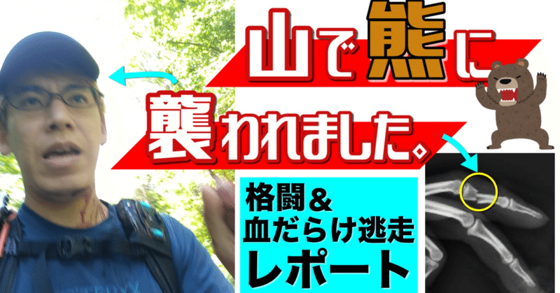 『山で熊に襲われました。』 
～格闘&血だらけ逃走レポート～