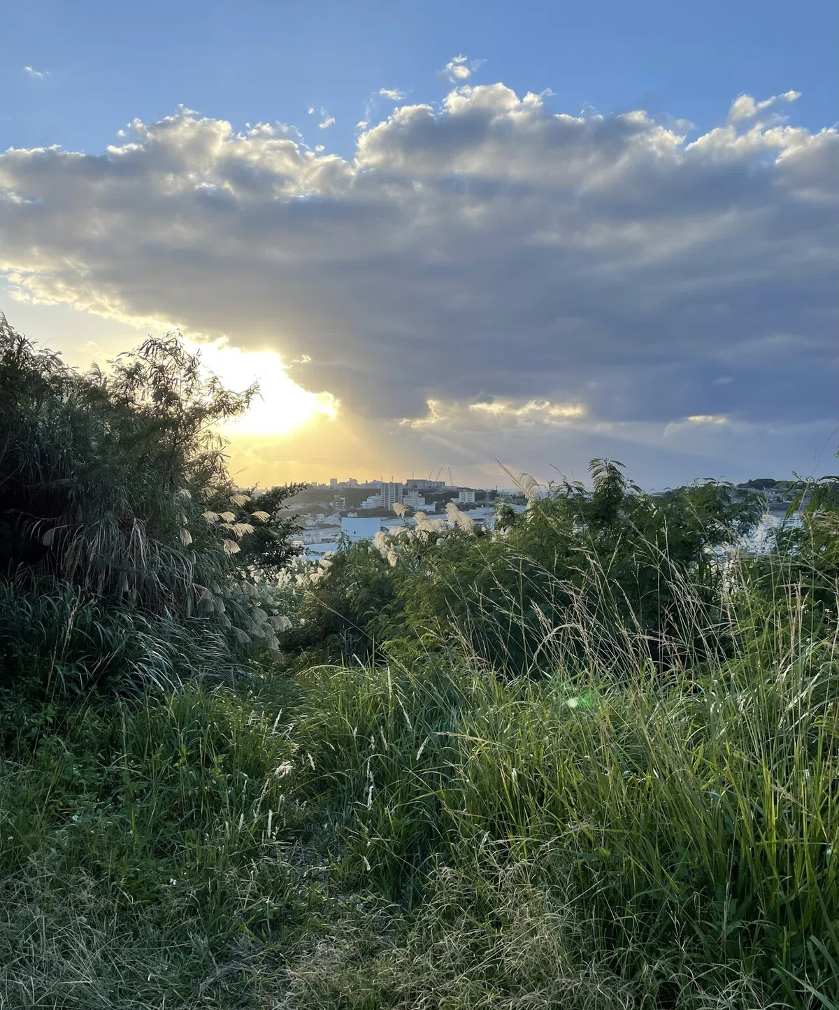 画像38
