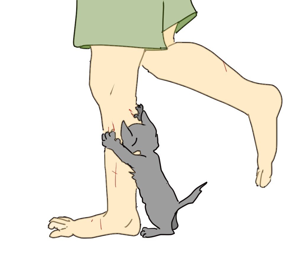 ひっかき傷 の新着タグ記事一覧 Note つくる つながる とどける