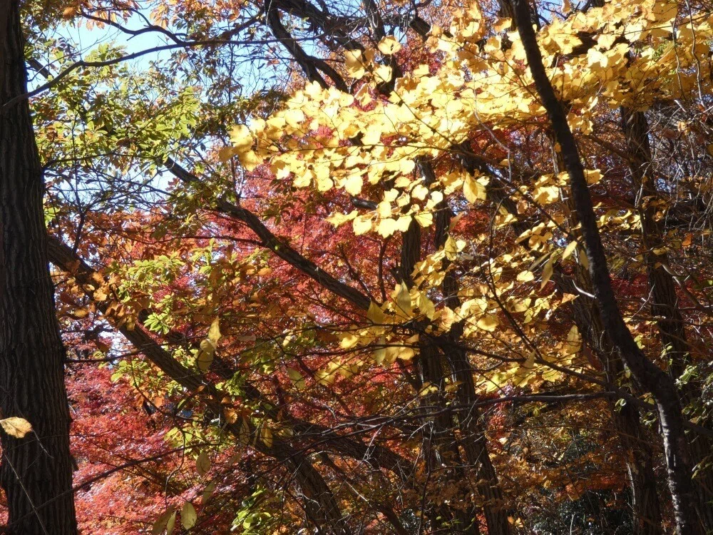 画像7