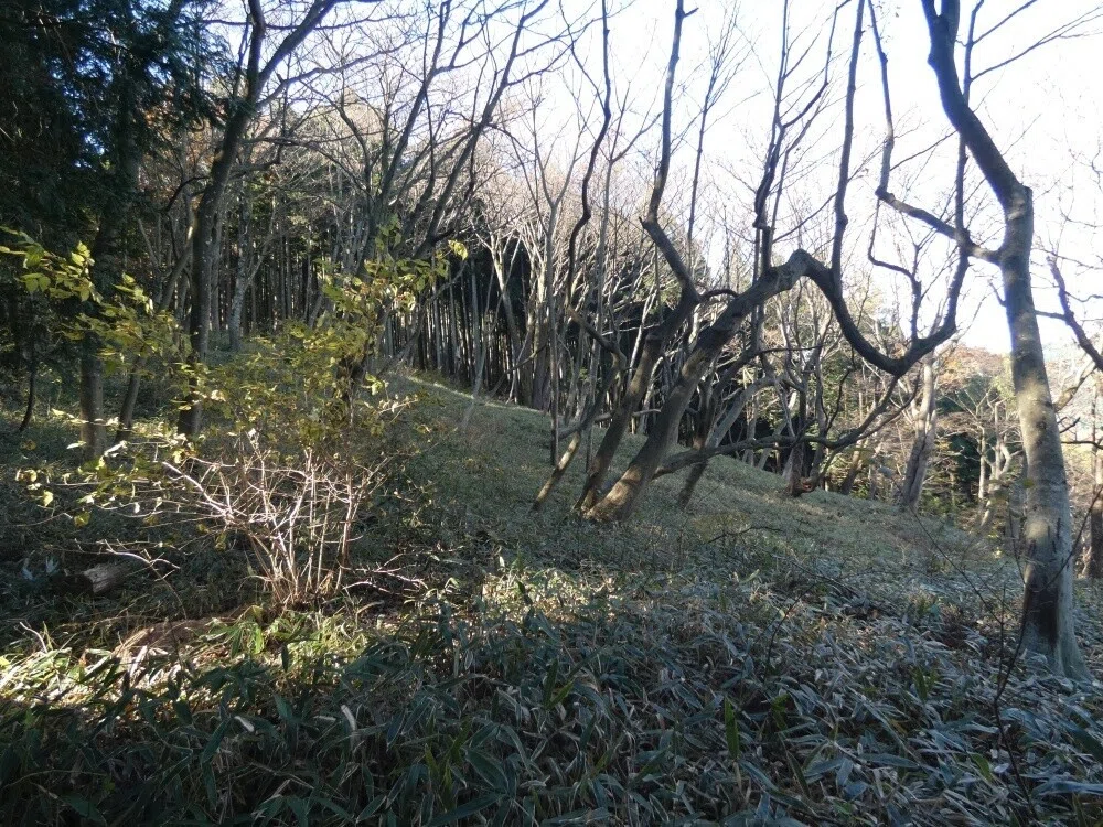 画像8