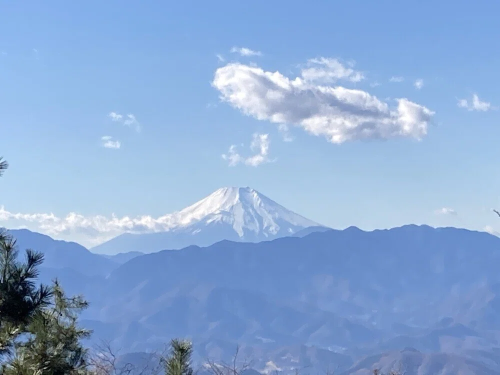 画像13
