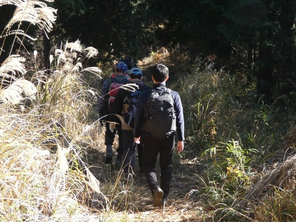 画像15
