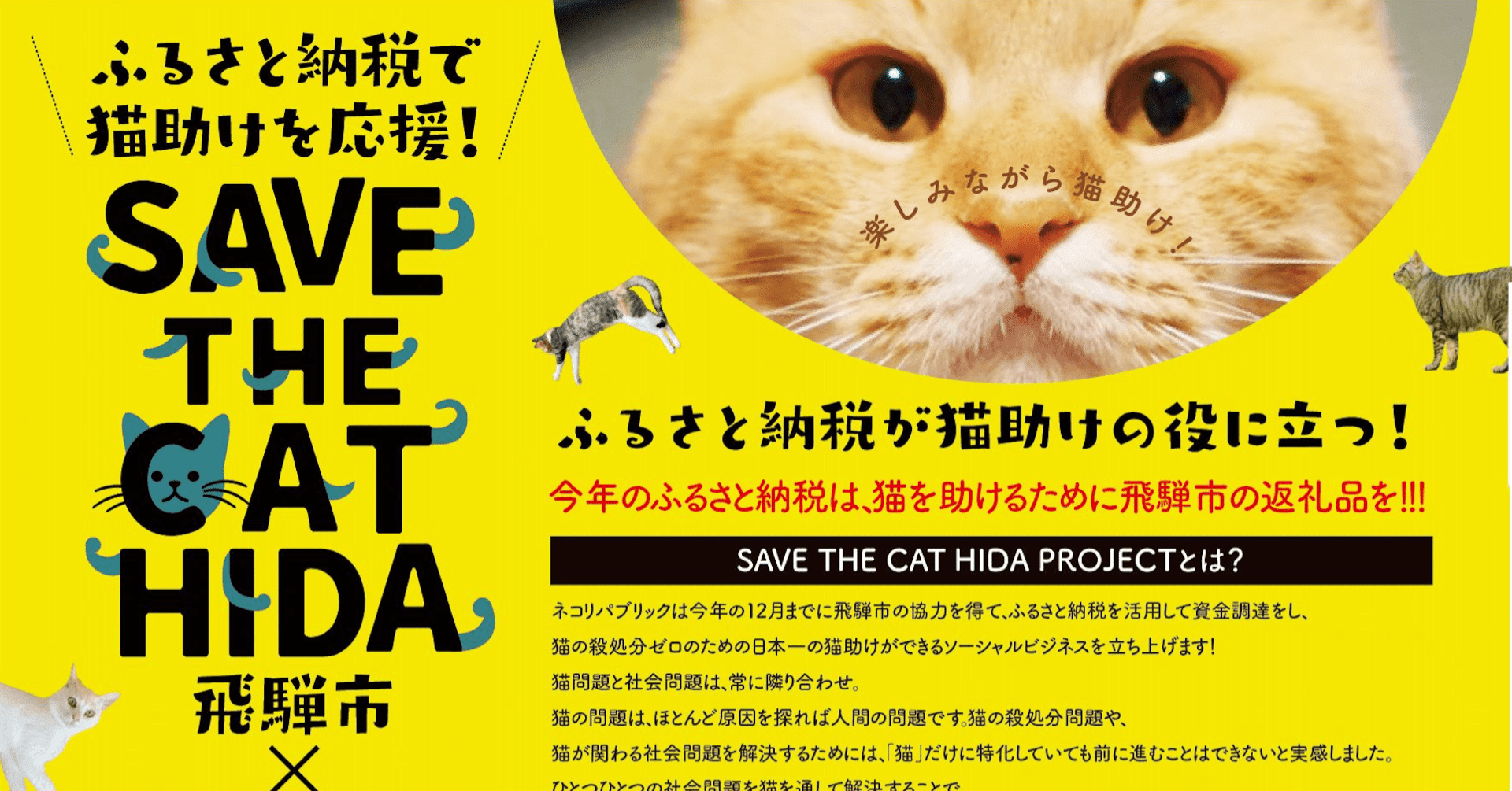 猫に幸せをもらっている全ての猫LOVERの皆様。ふるさと納税で猫助け