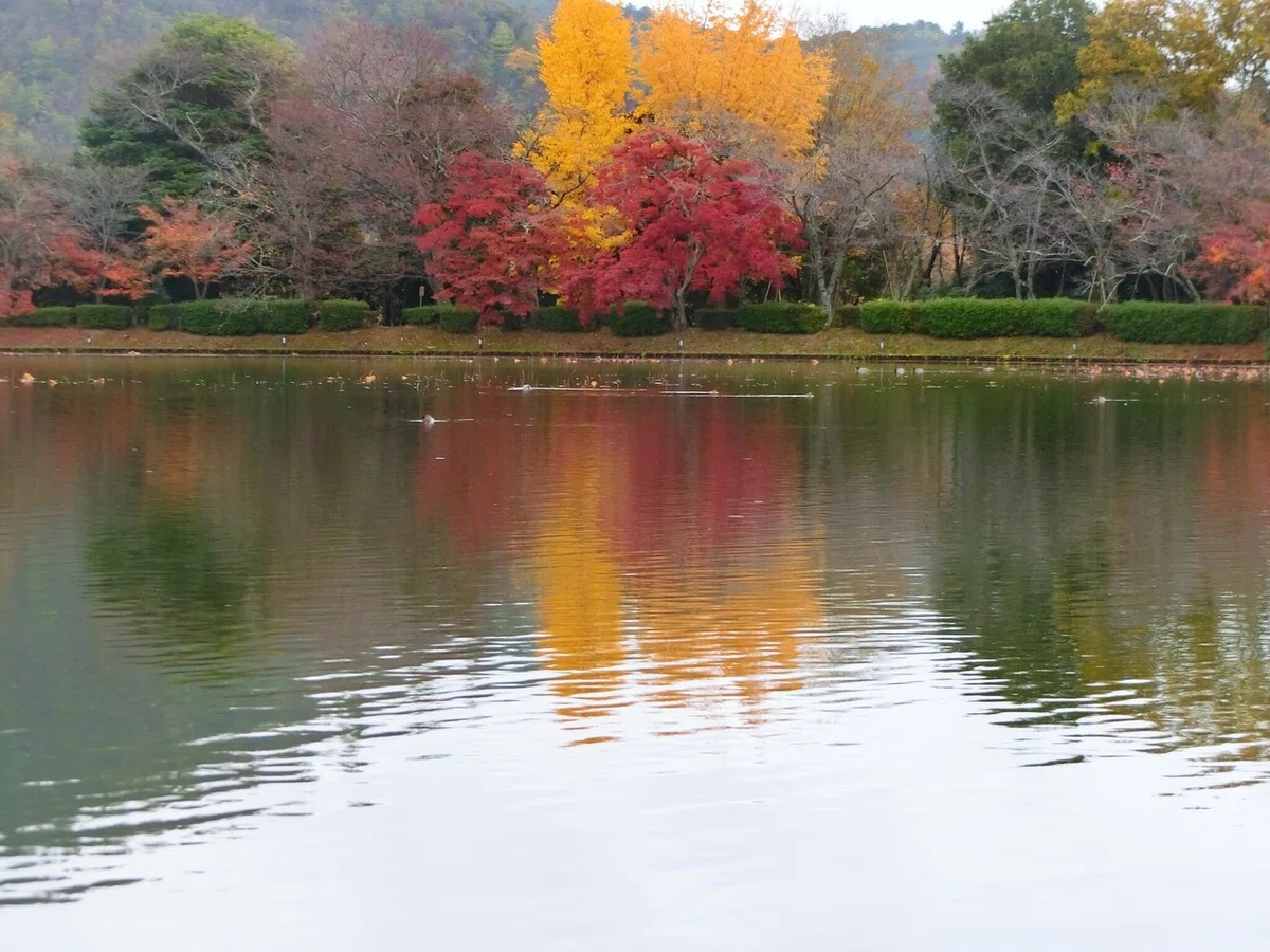 画像13