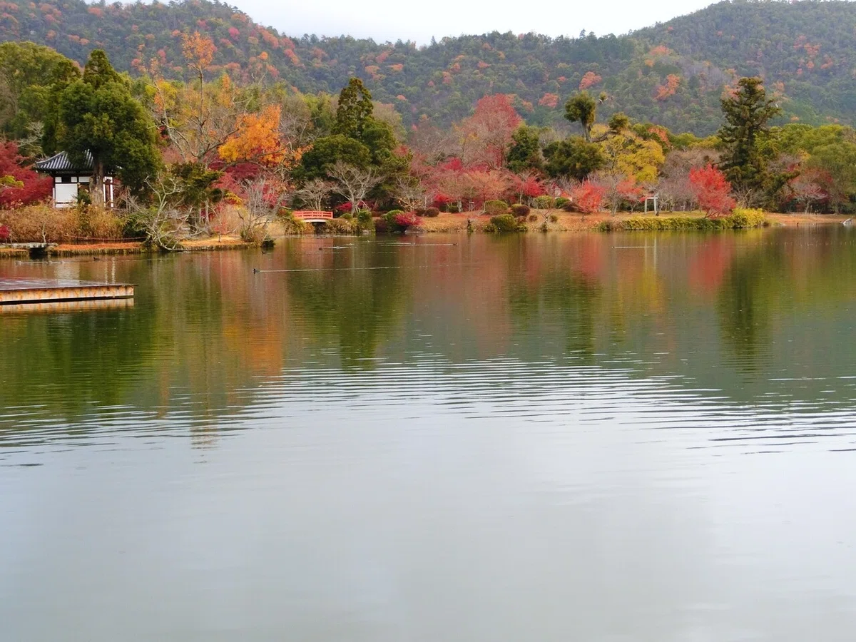 画像14