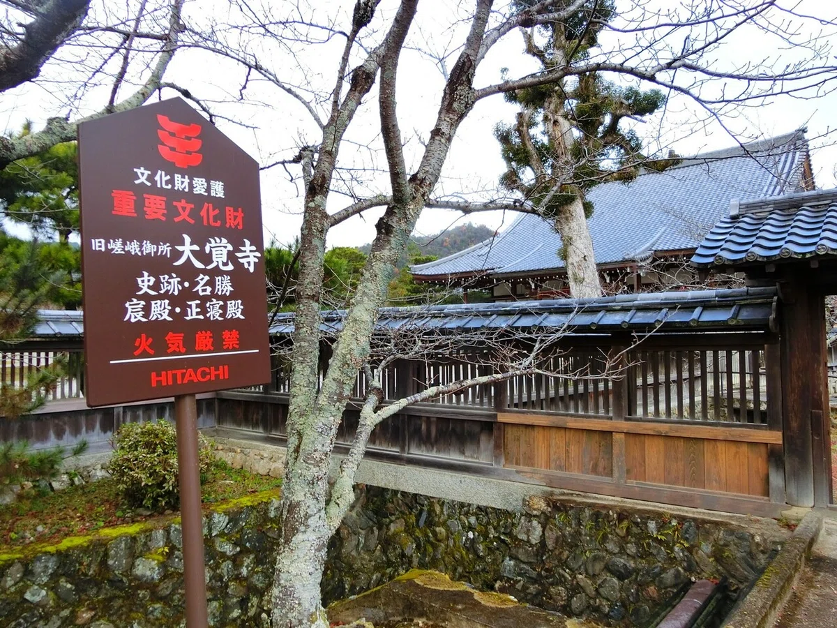 画像15