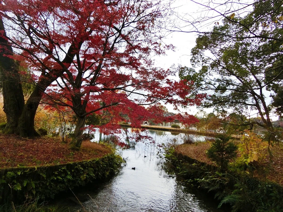 画像23