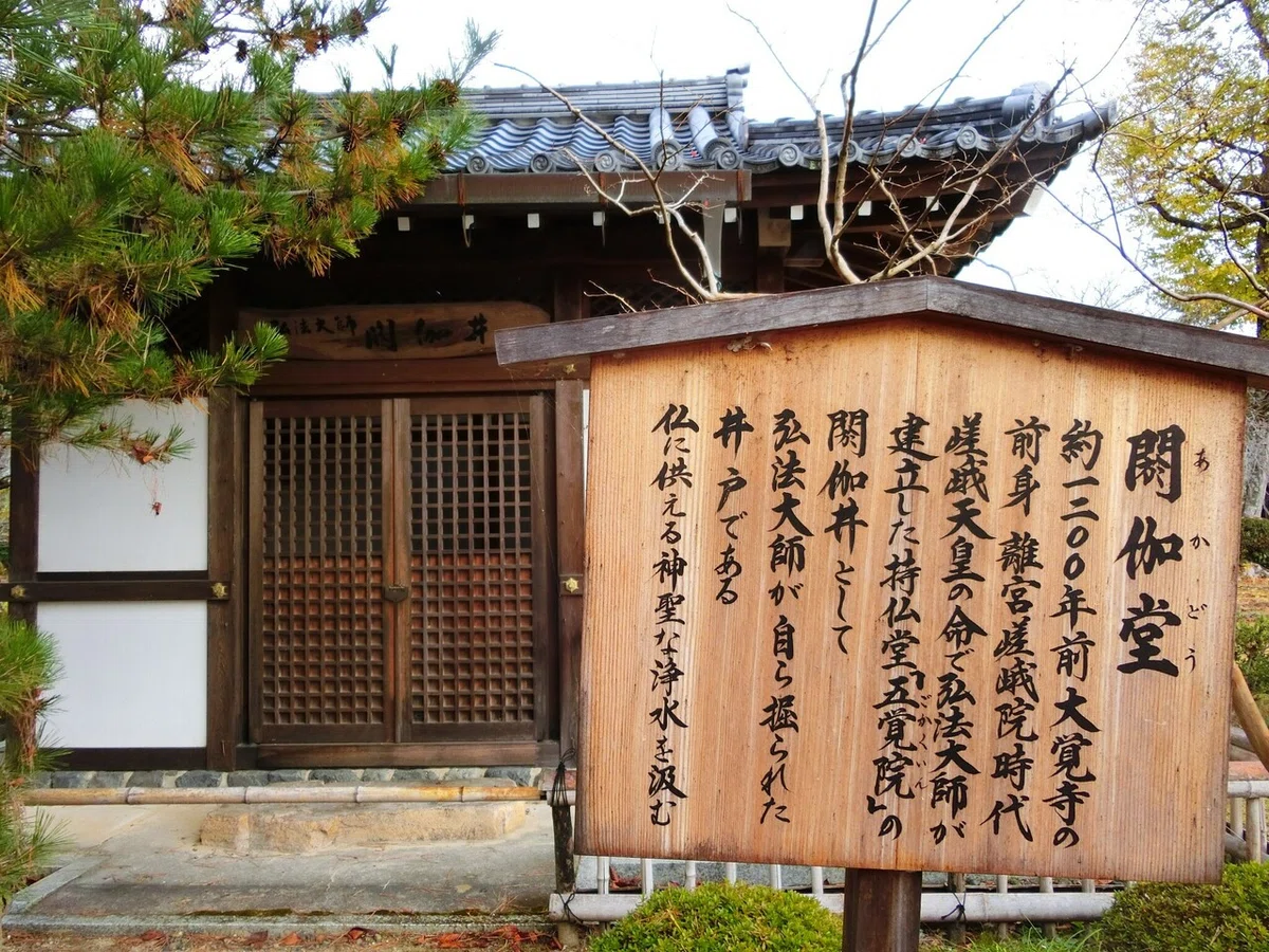 画像24