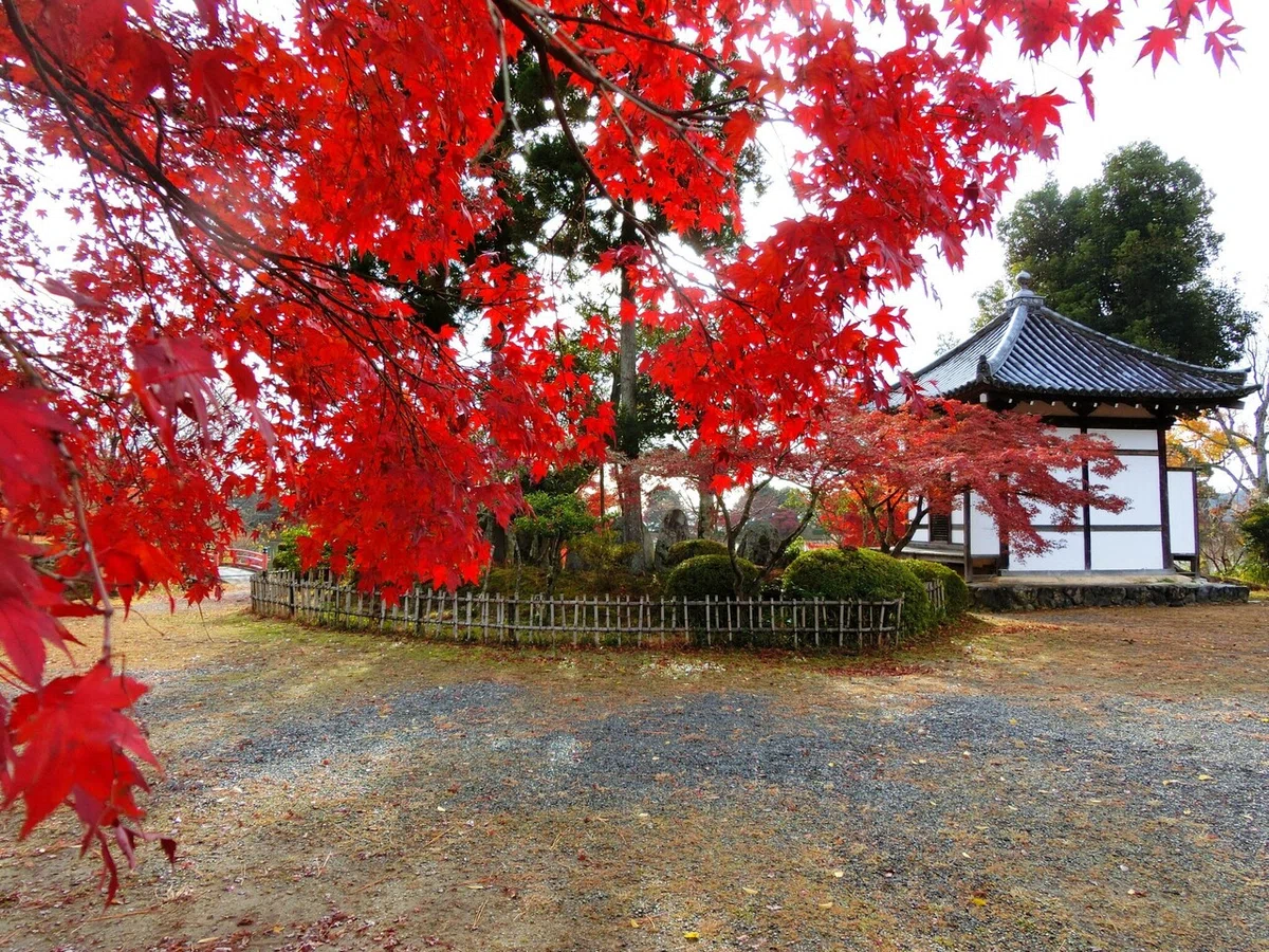 画像31