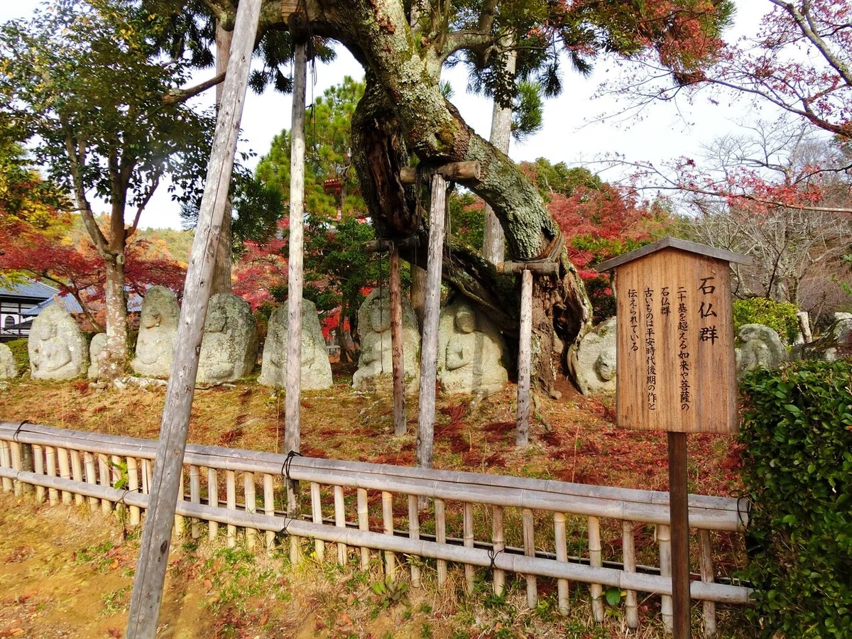 画像32