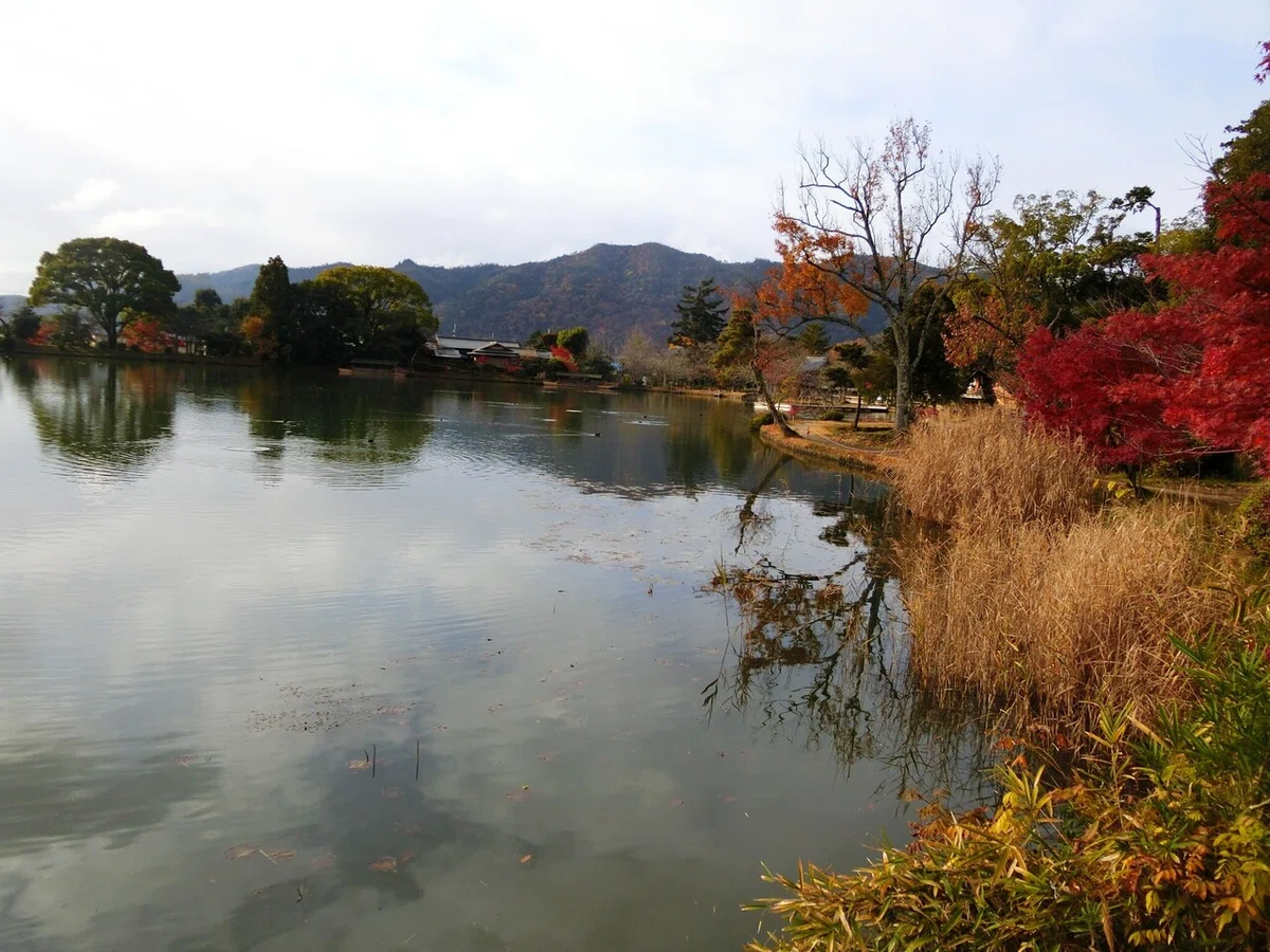 画像36