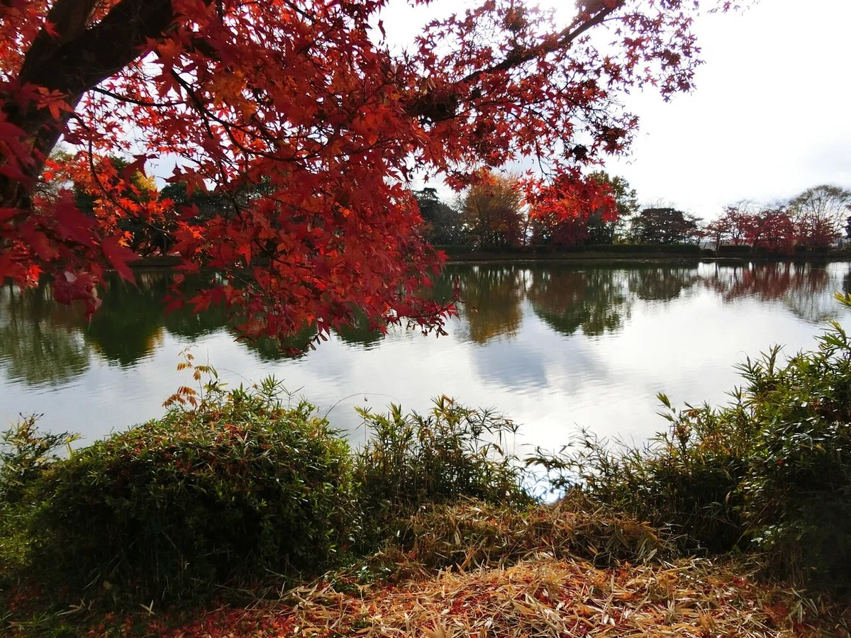 画像39