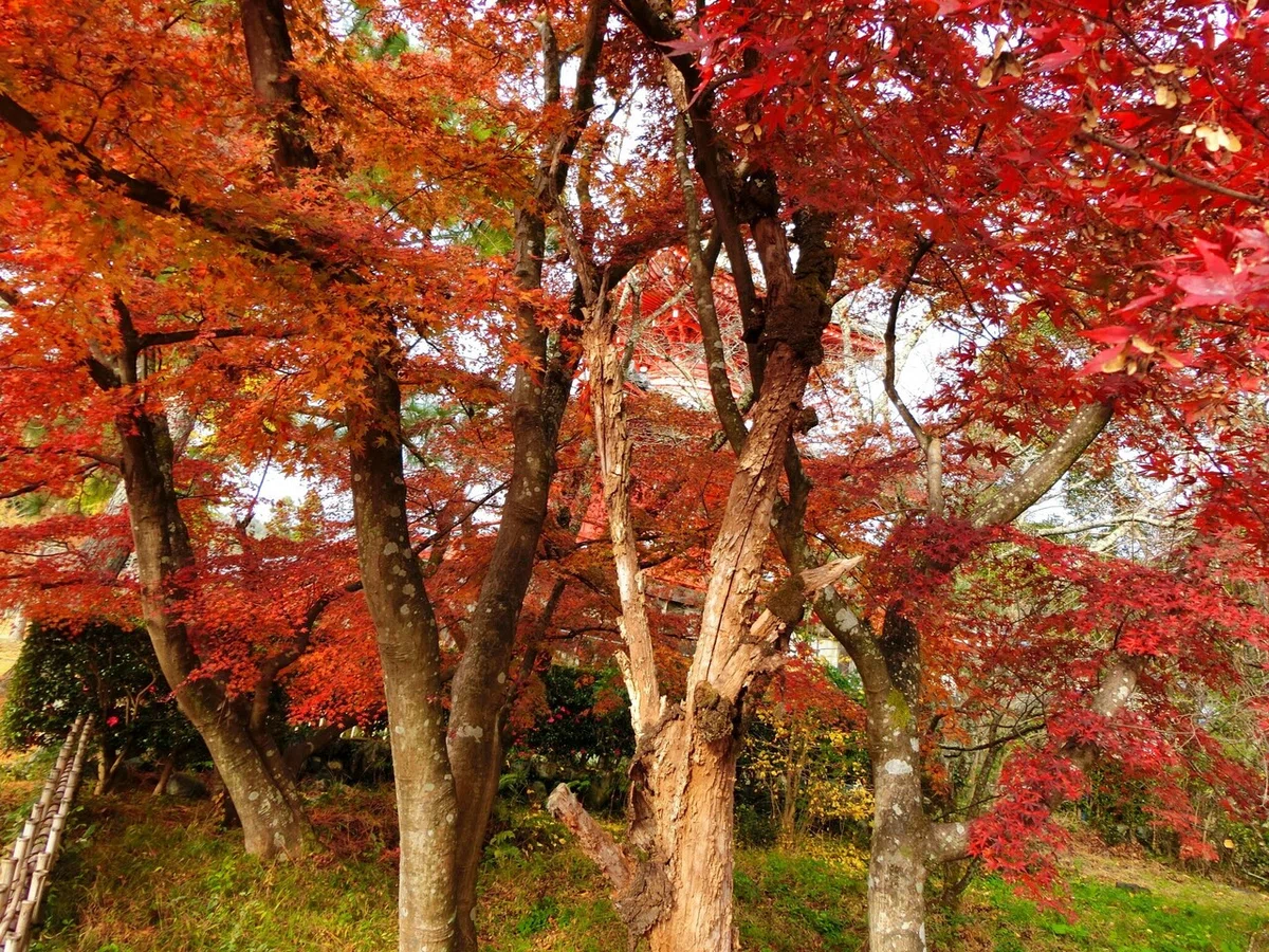 画像43