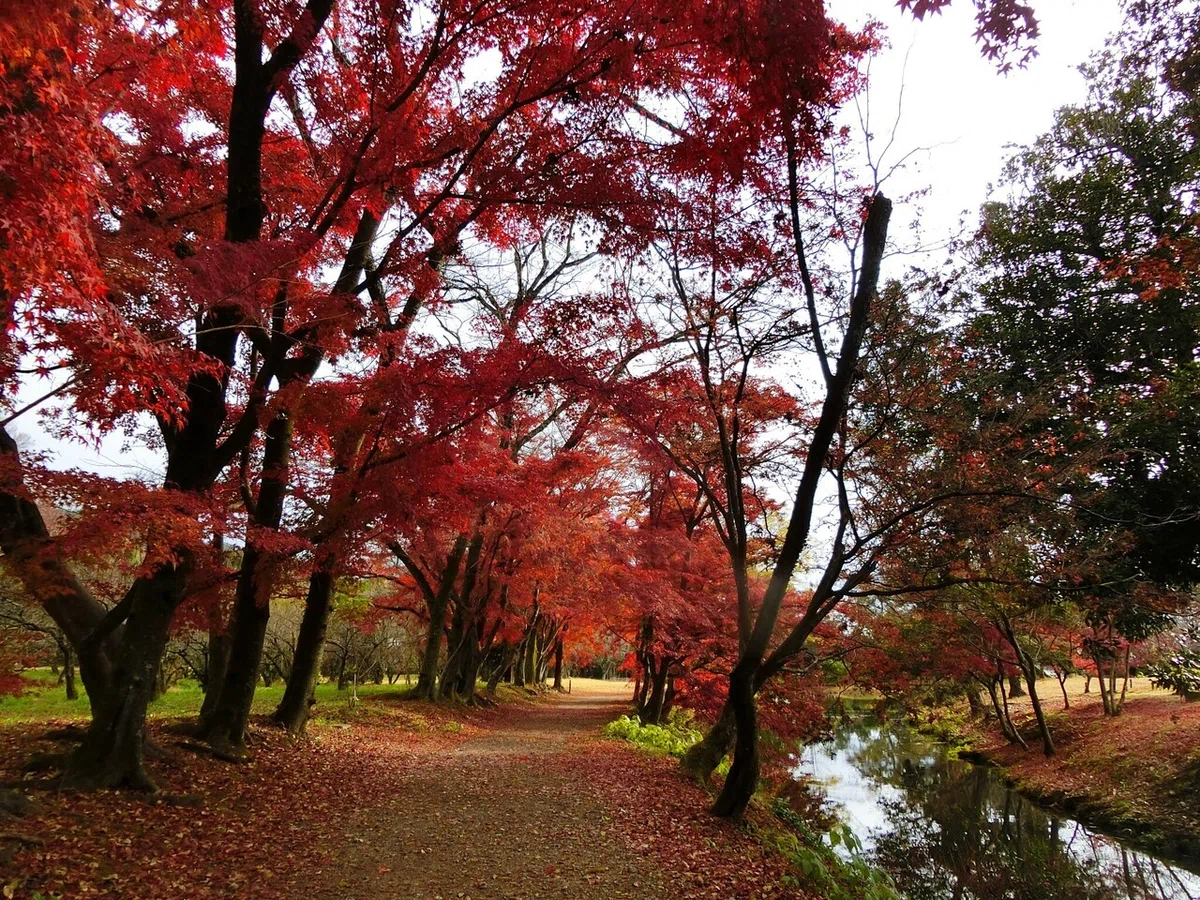 画像44