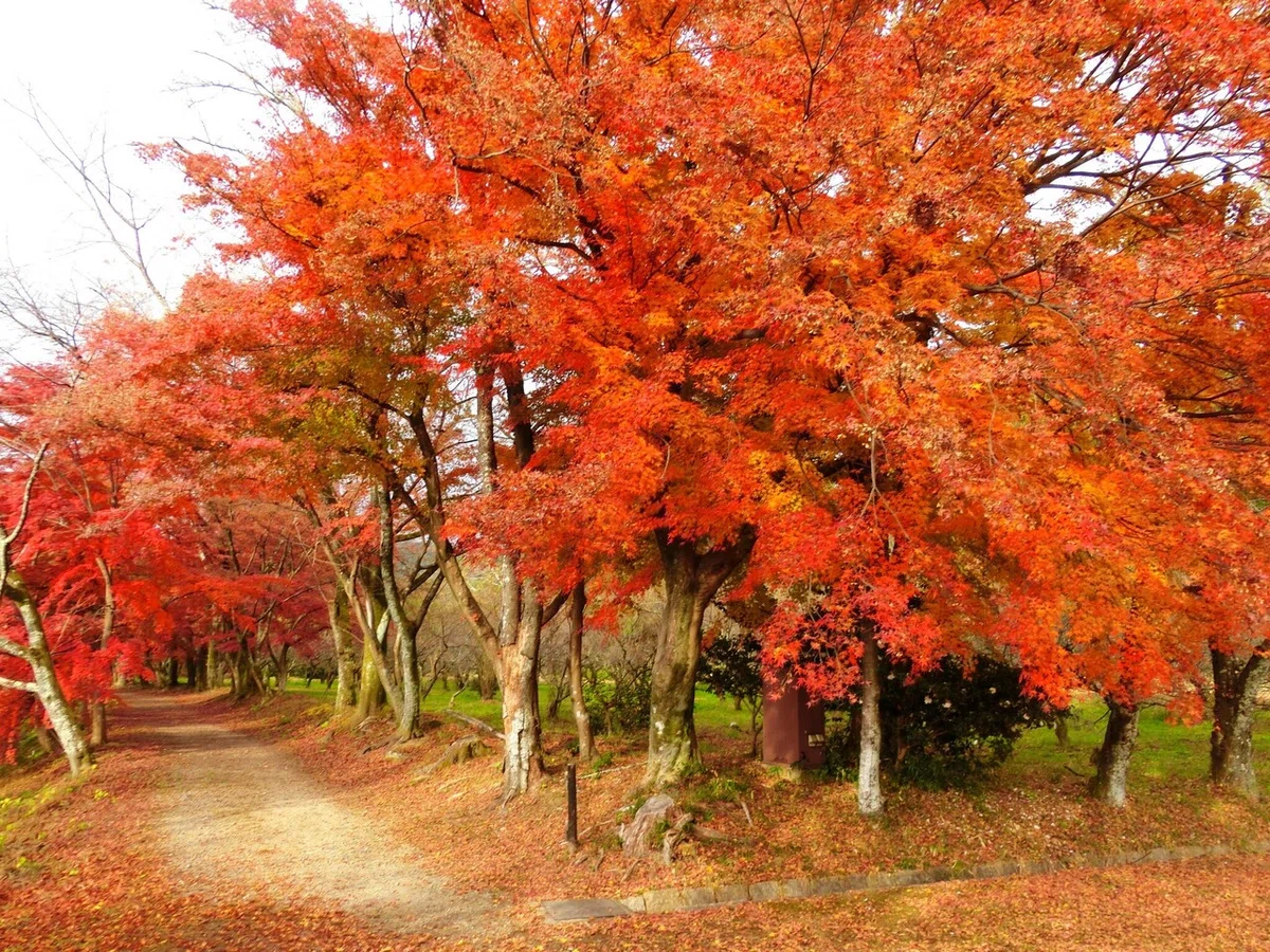 画像47
