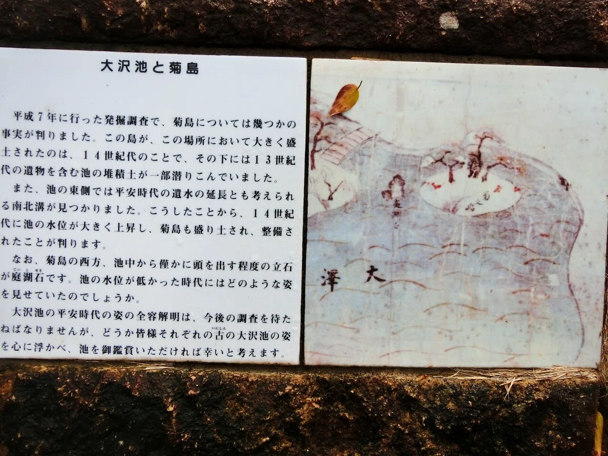 画像48
