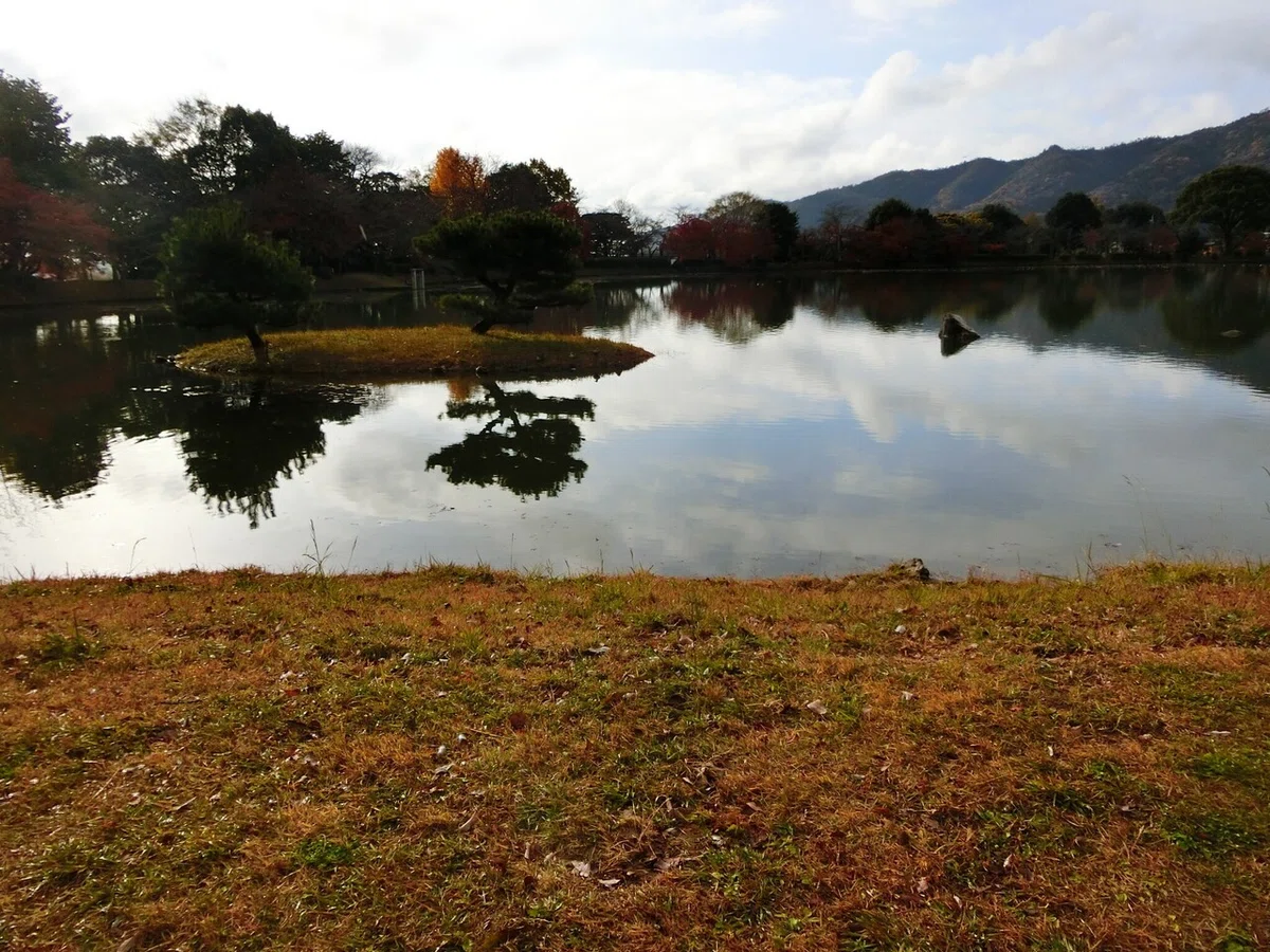 画像50