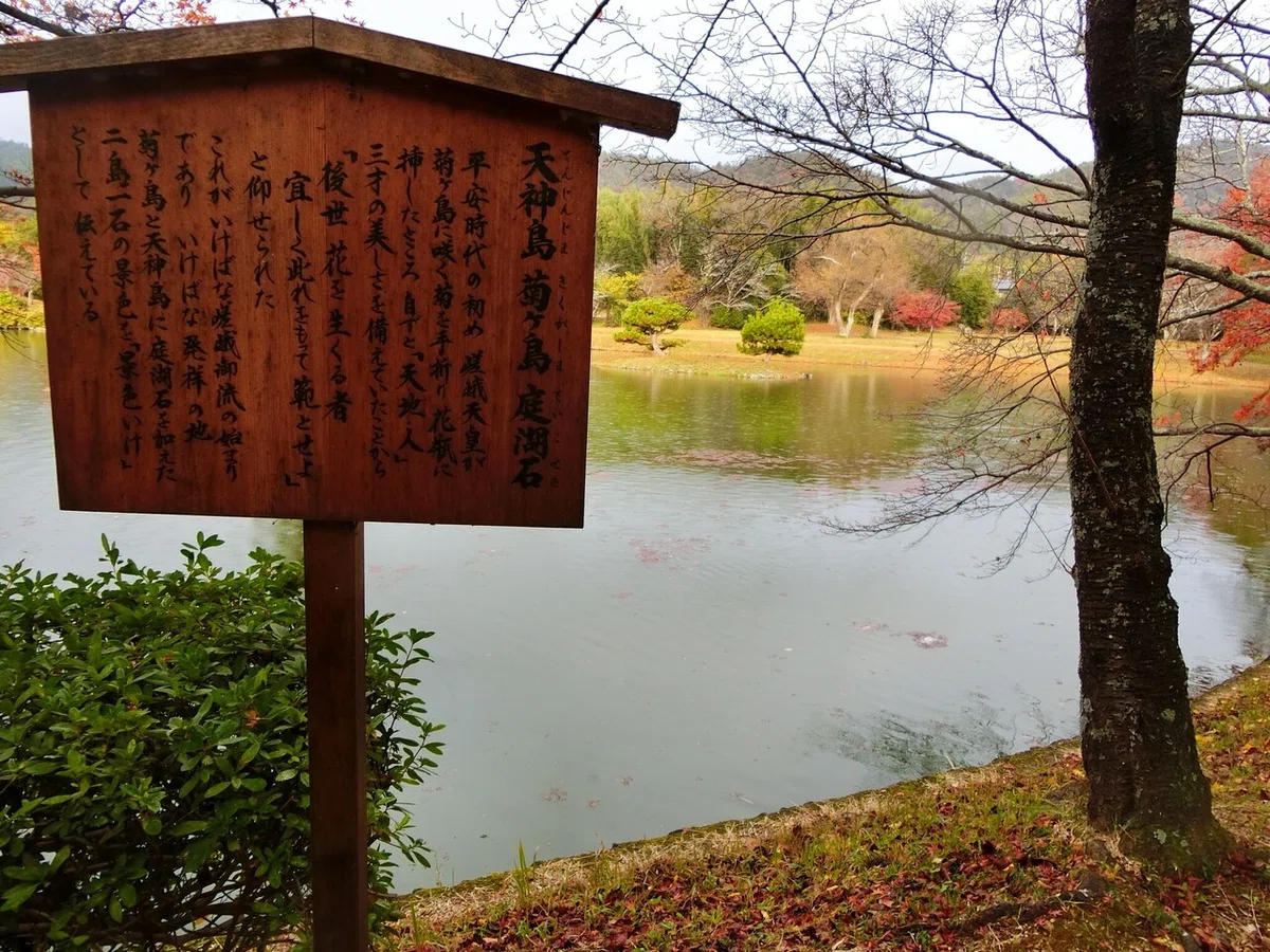 画像55
